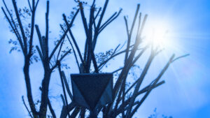 「幸せの誓い」　