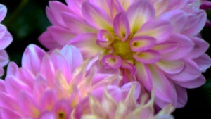 只今、思案中！見守って下さい。