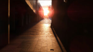 今だけクロケット