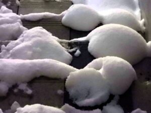 久々の大雪警報で琴似は混乱！